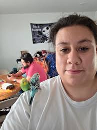 Quaker parrots living in Sydney, Australia