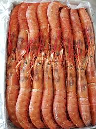 Gerald.Ph. Shop Seafood | Black Tiger Prawns | Delivery Manila Ph