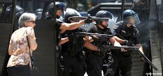 Resultado de imagen para gendarmes argentinos gas pimienta