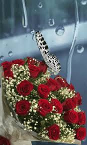 Maybe you would like to learn more about one of these? Bellezas De La Naturaleza Beautiful Flowers Pictures Flower Phone Wallpaper Flowers Gif