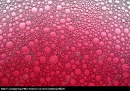 All the images on our site are hd quality and the best choice for background images for both desktop and smartphones. Graduated Pink Bubbles Background Royalty Free Image 2845239 Panthermedia Stock Agency