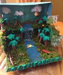 Biome In A Box Project Rainforest Shoe Box Pre School Project Rainforest Crafts Rainforest Project Ecosystems Projects
