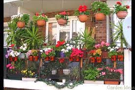 8 Peaceful Clever Ideas Dream Backyard Garden Front Yards Backyard Garden Party Fun Backyard Garden Wedd Taman Balkon Kecil Taman Apartemen Desain Taman Kecil