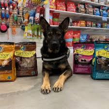 Fromm family foods large breed puppy gold dry dog food. Fromm In Bristow Pet Cat Dog Food