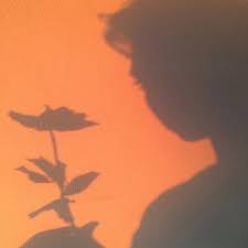 Moodboards Astrology Couple Libra F X Gemini M For Peach Aesthetic Orange Aesthetic Aesthetic Light
