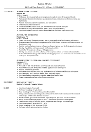Junior Net Developer Resume Samples Velvet Jobs