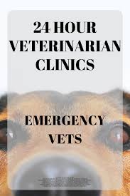 Caring hands is a network of eight veterinary hospitals born from a simple idea: 24 Hour Vets Near Me Cheap Online