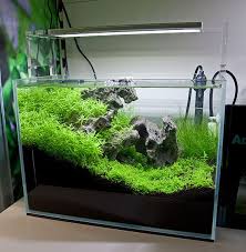 20 Litre Opti White Tank With Ada Led Lights Aquarium Landscape Live Aquarium Plants Aquarium Garden
