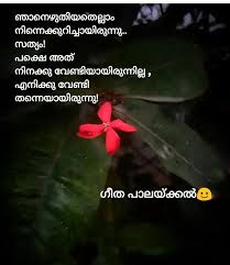 Crazy quotes true quotes single life quotes quotes deep feelings single forever single and happy malayalam quotes love failure feeling happy favorite quotes best evergreen malayalam love quotes love pictures love letters love sms and love status are here everyone can download it for free. Pinterest Quotes Malayalam Daily Quotes