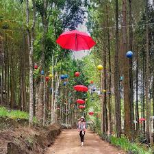 Di daerah tapal kuda terdapat dua kelompok pegunungan: Wisata Alam Hutan Pinus Di Sumber Putih Wajak Kanalmalang Net