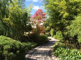 Pin Auf Fotos Aus Meinem Garten