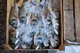 Image result for Scombroid Fish Poisoning