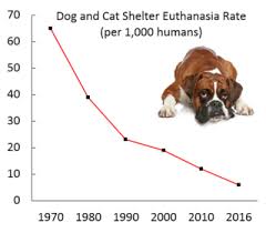 The Puzzling Geography Of Animal Shelter Dog Euthanasia