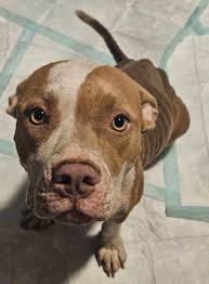 Donate to advance Alzheimer's research and care