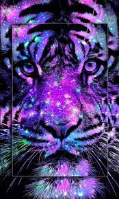With its great beauty, countless variety of neon shades and awesome wild animals pictures, it is easy to become fan of crazy neon animals live wallpaper hd. Neon Animal Wallpapper Download Neon Animals Wallpapers Wallpaper Cave Musicismyboifren