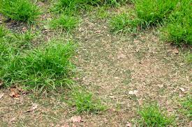 How to install astroturf on a flat concrete surface? How To Install Artificial Grass On Dirt