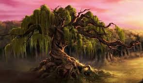 The stories are full of. Category Plants Harry Potter Wiki Fandom