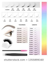 eyelash extension tools stock vectors images vector art