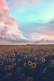 Beach aesthetic travel aesthetic landscape photography nature photography travel photography amazing photography photography tips portrait california road trip us vacation ideas. Aesthetic Landscape Vintage Aesthetic Clouds Wallpaper