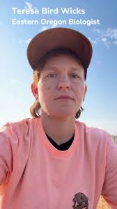 Bird Alliance of Oregon (@birdallianceoforegon) • Instagram photos and  videos