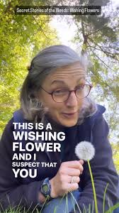 From another page. 🧚‍♀️ 🌼