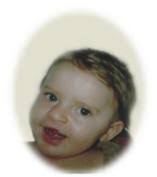 The North Georgia News