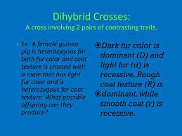 Dihybrid crosses involve manipulation and analysis of two traits controlled by pairs of alleles at different loci. Mendel Heredity Ppt Download