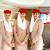 India Air Hostess