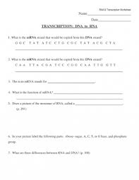 In the rna and protein synthesis gizmo, you will use both dna and rna to construct a protein activity b: Homework 3 Rna And Transcription Answers