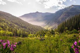 The hikes listed below are from highest rating to lowest. Hiking In San Juan National Forest Colorado