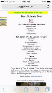 56 Best Tortoise Habitats Images On Pinterest Tortoise Habitat Turtle Habitat And Sulcata Tortoise Care Sulcata Tortoise Diet Tortoise Habitat