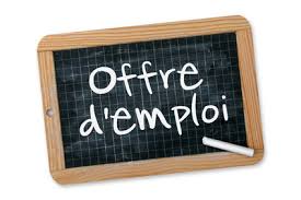 Offre d'emploi - Référenceur/ SEO débutant (F) [SIVP]