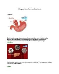 Penyakit ini merupakan penyakit yang paling sering menyerang sistem pernapasan pada manusia di seluruh dunia. Gastritis Merupakan Panyakit Karena Gangguan Biologi Kelas 8 Apa Saja Gangguan Pada Organ Pencernaan Manusia Pelepasan Epitel Akan Merangsang Timbulnya Proses Inflamasi Pada Lambung Ernestineb Flavor