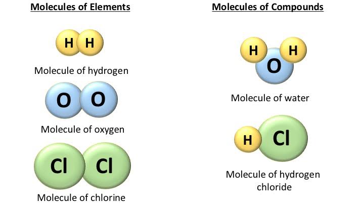 Image result for molecule vs compound"