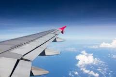 Image result for what course of action should you take if landing and your flaps wont extend