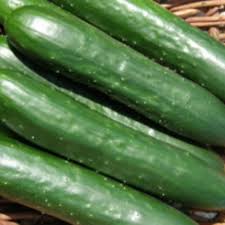 Concombres Green Finger Association Kokopelli En 2020 Concombre Fruit Vert Laitue Pommee