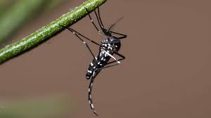 Erome sophia west this lovely lady seems to get into what