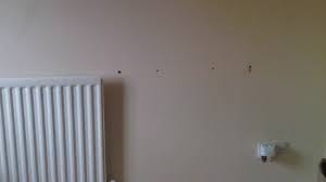 How renters insurance works, average costs, money saving tips and faqs answered! Tenants That Put Holes In The Wall