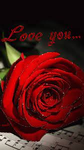 We did not find results for: Rose Flower Gif Roses Flowers Animated Gif Free Download