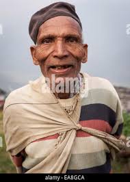 Asia, Nepal, Pokhara. Nepali farmer with water buffalo (Editorial Use Only  Stock Photo