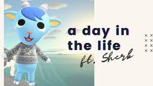 A Day in the Life of Sherb | Animal Crossing New Horizons - YouTube