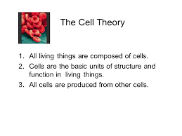 Name The Three Parts Of The Cell Theory The Cell Theory 1 All Living Things Are Composed Of Cells 2 Cells Are The Basic Units Of Structure And Function Ppt Download