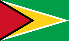 Some countries have those three and another added in (red or white for example). Guyana Flag Download National Flag Of Guyana