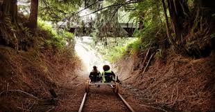 This gentle, but vigorous unique ride is suitable for all ages. Railbikes Route Review Vance Creek Railriders Washington