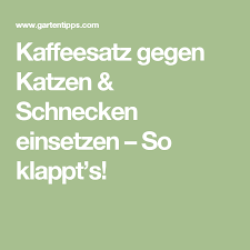 Kaffeesatz Gegen Katzen Schnecken Einsetzen So Klappt S Kaffeesatz Schnecken Schadlingsbekampfung