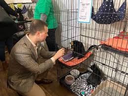 Thank you for opening your heart to a pet rescued by your local, independent spca monterey county! Robbinsville S The Healthy Animal Finding Forever Families At Dog Cat Adoption Events Tapinto