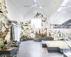 Gallery Of Natural History Museum St Gallen Michael Meier Marius Hug Architekten Armon Semadeni Architekten 14 Natural History Nature Museum Natural History Museum