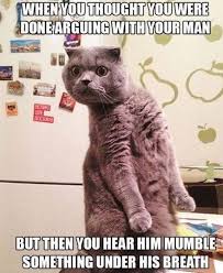 Check spelling or type a new query. 27 Caturday Memes To Enjoy While Relieving Yourself At The Litter Box Good Morning Funny Pictures New Funny Memes Very Funny Pictures