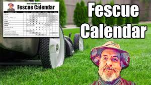 God created man, man plants grass. Fescue Lawn Calendar Youtube