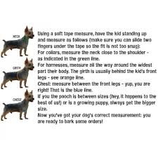 Yorkies Size Chart Goldenacresdogs Com